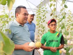 Kebun Melon Green House Ala Girli Farm Menginspirasi, Diharapkan Bisa Diterapkan di Semua Kecamatan di Blora