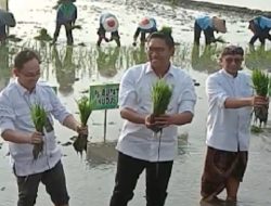 Wamentan Sudaryono ,Kunker ke Desa Gondoharum, Kudus,Gerakan Percepatan Tanam