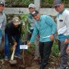 Ketahanan Pangan,Pemdes Gulang Gerakkan Tanam1550 Bibit Mangga Thailand di Setiap Rumah