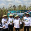 Hasilkan Benih Unggul, Mendes PDT Setujui Blora Jadi Pusat Sorgum Nasional